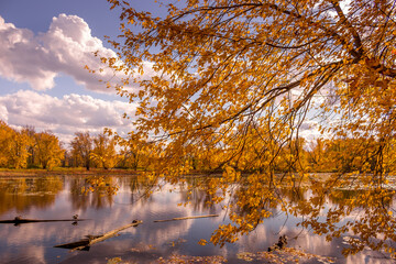 Colourful beautiful Autumn landscaping on the lake