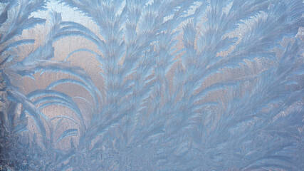 Frosty ice patterns on the glass are dendrites, similar to bizarre plants. Winter, Christmas