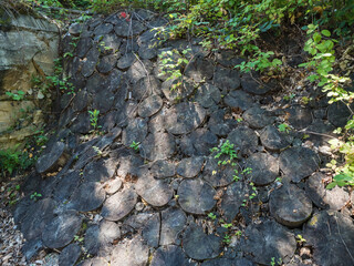 Fototapeta premium Decorative wall made of wood cut inforest