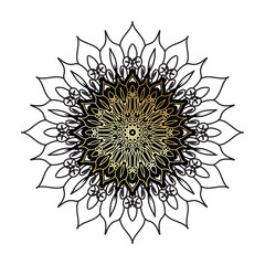 Vector round abstract circle. Luxury Mandala style