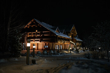 christmas house in the night