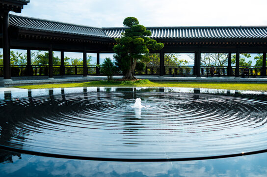 Beilliance Pond in Tsz Shan Monastery