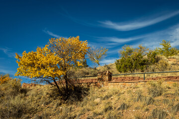 Fototapeta premium Heading Up Hill