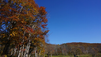  Autumn on the plateau