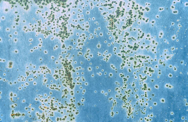 Steel sheet painted with blue paint covered with rust spots. Old Blue Abstract Background