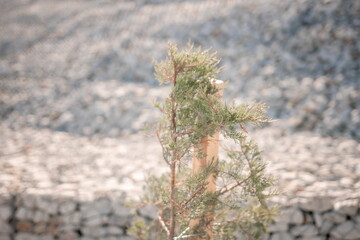 Granite stones behind a metal grate for strengthening the slope. Stones behind the wire. grey texture. construction.