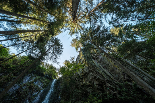 Low angle of Burgbach waterfall in the Black Forest, Germany