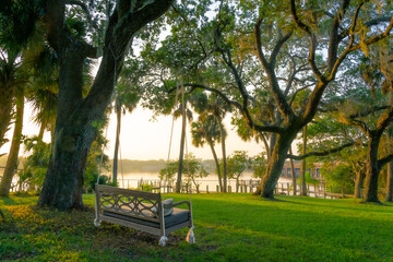 Swing on ropes tied to an old tall tree in the backyard of a house on the banks of the Sebastian River in Florida, illuminated by yellow sunlight as the sun rises.