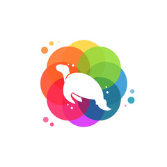 Turtle logo vector, turtle logo designs template, design concept, logo, logotype element for template