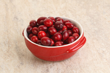 Ripe sweet tasty cranberry in the bowl