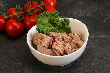 Canned tuna fillet in the bowl