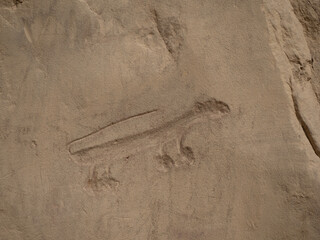 Engraving of Animal by Ancient Puebloan at Chaco Culture National Historic Park in New Mexico