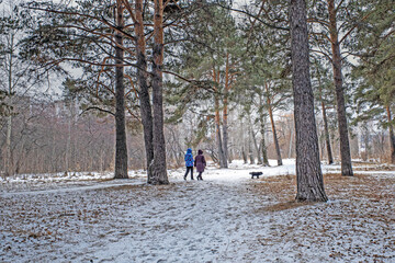 Two women and a dog walk along the alley of the park on a winter day