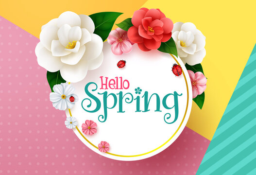 Spring greeting vector template design. Hello spring text in white space with camellia, cosmos and cherry blossom flowers in paper art for festive bloom season celebration card. Vector illustration.
