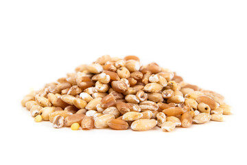 Pile of mixed grain kernels and seeds, front view. Assortment of cereal grains. Macro of dried hard wheat kernels, sorghum grain, millets and pearled barley. Selective focus. Isolated on white.