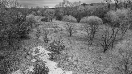 Black and white fall photo with hills in the background