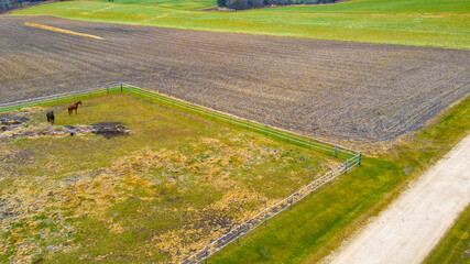 Agricultural field with two horses and a road