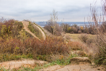 Obraz premium Garden