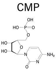Cytidine monophosphate or CMP, cytidylate, RNA building block molecule. Skeletal formula.