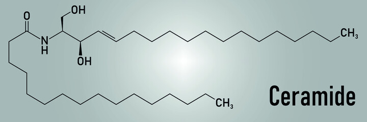 Ceramide cell membrane lipid molecule. Skeletal formula.