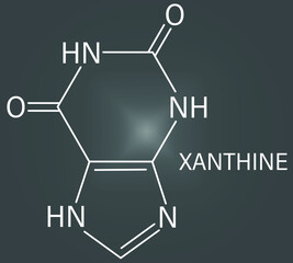 Xanthine purine base molecule. Skeletal formula.