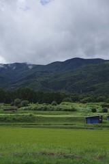 Fototapeta na wymiar 日本で最も美しい村