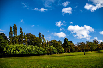 Beautiful view of the park with trees and the sky with puffy clouds