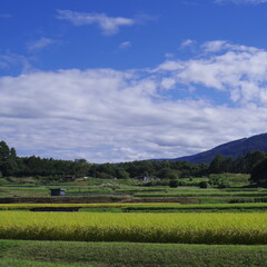 Fototapeta na wymiar 日本で最も美しい村