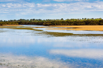 Rhyll Inlet State Wildlife Reserve is a wetland reserve with walking paths, a boardwalk, mangroves, birds and ocean views - Phillip Island, Victoria, Australia