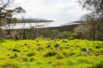 Rhyll Inlet State Wildlife Reserve is a wetland reserve with walking paths, a boardwalk, mangroves,...