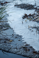 池に氷が張り、もみじの葉も凍っている　東京、赤坂にある東京ミッドタウン