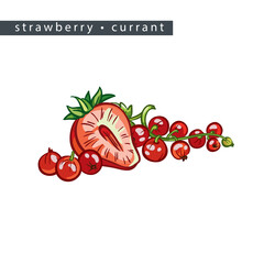 sketch_strawberry_currant_half_a_berry_and_a_branch