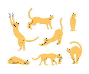 Set of funny cats isolated on white