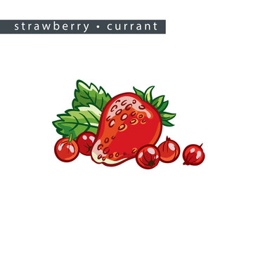 sketch_strawberry_currant_whole_berry_small_red_berries_and_leaves