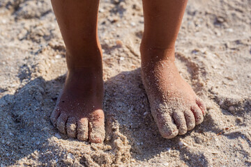 Fototapeta na wymiar Child's feet in the sand on a sandy beach. Top view, flat lay.