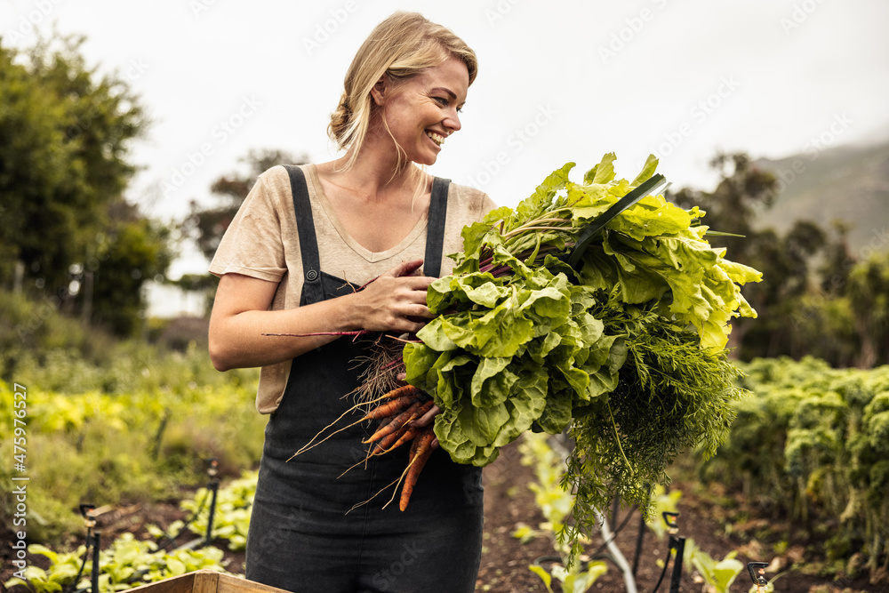 Wall mural cheerful organic farmer holding freshly picked vegetables on her farm