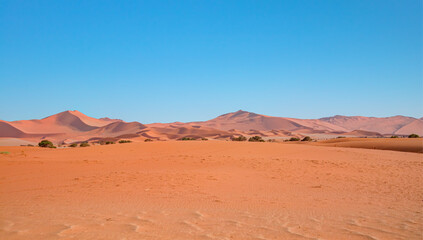 Plakat Panoromic view of sandy hills of red dunes and dead trees of Deadvlei valley in Sossusvlei area, Namib desert - Namibia, Africa
