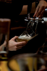 Fototapeta na wymiar the bartender pours beer into a glass 