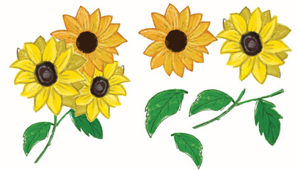 Watercolor sun flower element. Beautiful floral collection with sunflowers,leaves,branches,fern leaves,feathers.2 bright watercolor bouquets for your design