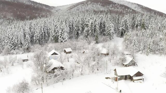 Delyatyn town near the Carpathians, Ukraine. Winter covered houses, trees and roads with snow, the view from the drone of the copter - New Year's Christmas mood