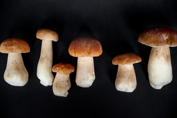 group of harvested boletus mushrooms on dark surface