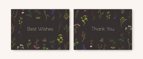 Floral card designs with wild flowers. Herbal backgrounds, botanical frames. Greeting postcard templates with delicate herbs, pretty wildflowers, fresh field plants. Colored flat vector illustration