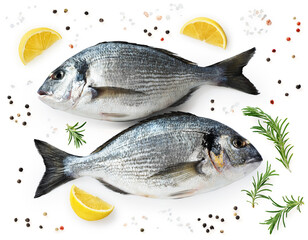 Gilt-head bream (dorade) isolated on white background. With clipping path.