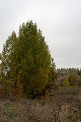 landscape on a cloudy autumn day