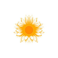 illustration vector graphic of sunflower, yellow. fit for flower shop, background, design template.