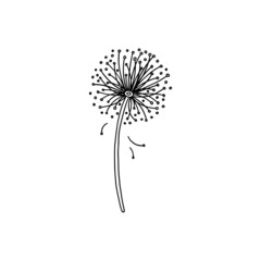 Blooming dandelion spring flower with black lines, doodle vector illustration isolated on wihte background.