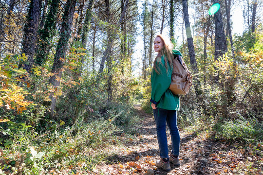Young woman hiking in forest on sunny day
