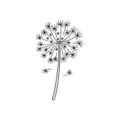 Dandelion hand drawn vector logo. Black and white fluffy spring flower drawing, isolated on white background.