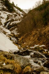 stream in the mountains