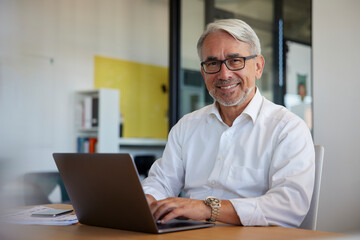 Smiling businessman working on laptop at workplace